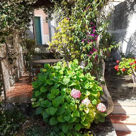 Casa de Férias Raggio Di Luna