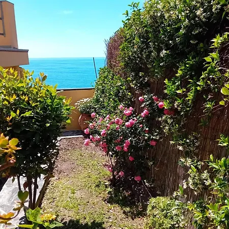 Casa de Férias Raggio Di Luna Manarola